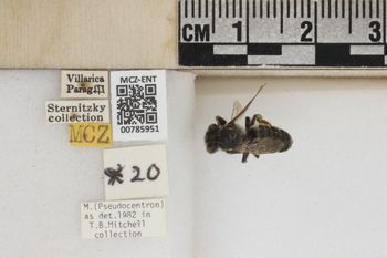 Media type: image;   Entomology 785951 Aspect: Labels